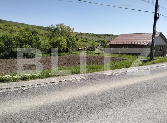 Teren de vânzare Exterior Sud - 154411TV | BLITZ Bistriţa | Poza1