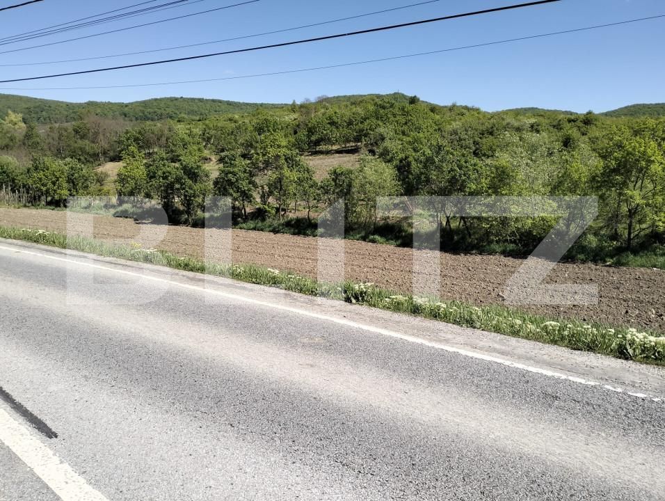 Teren de vânzare Exterior Sud - 154411TV | BLITZ Bistriţa | Poza2