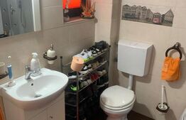 Casa 4 camere 116 mp utili, 385mp teren, zona Sud Dedeman