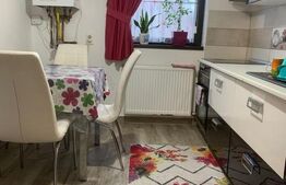 Casa 4 camere 116 mp utili, 385mp teren, zona Sud Dedeman