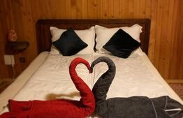 Cabana agrement, 3 camere, 100mp, Exterior Sud