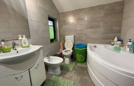 Casa 3 dormitoare, 100mp utili, 300mp teren, zona Sud