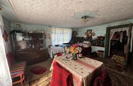 Casa 20km bistrita 6,5ha teren