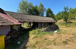 Casa 20km bistrita 6,5ha teren
