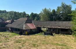 Casa 20km bistrita 6,5ha teren