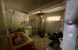 Casa 20km bistrita 6,5ha teren