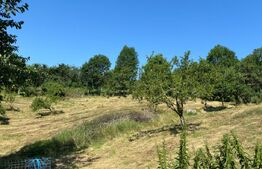 Casa 20km bistrita 6,5ha teren