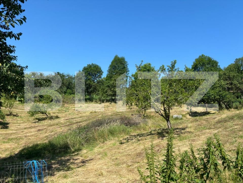 Casa de vânzare 4 camere Exterior Est - 154877CV | BLITZ Bistriţa | Poza8