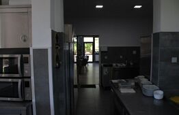 Afacere la cheie, pensiune 16 camere 650mp+Duplex 600mp,teren 50 ari,Viisoara