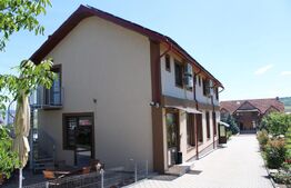 Afacere la cheie, pensiune 16 camere 650mp+Duplex 600mp,teren 50 ari,Viisoara