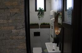 Afacere la cheie, pensiune 16 camere 650mp+Duplex 600mp,teren 50 ari,Viisoara