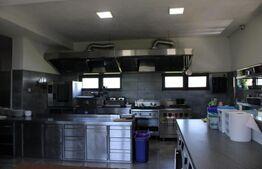 Afacere la cheie, pensiune 16 camere 650mp+Duplex 600mp,teren 50 ari,Viisoara