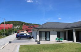Afacere la cheie, pensiune 16 camere 650mp+Duplex 600mp,teren 50 ari,Viisoara