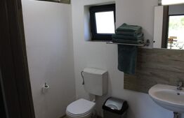 Afacere la cheie, pensiune 16 camere 650mp+Duplex 600mp,teren 50 ari,Viisoara