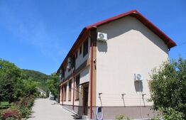 Afacere la cheie, pensiune 16 camere 650mp+Duplex 600mp,teren 50 ari,Viisoara