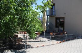 Afacere la cheie, pensiune 16 camere 650mp+Duplex 600mp,teren 50 ari,Viisoara