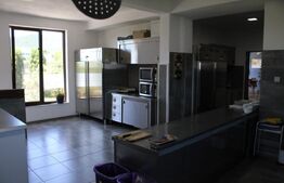 Afacere la cheie, pensiune 16 camere 650mp+Duplex 600mp,teren 50 ari,Viisoara