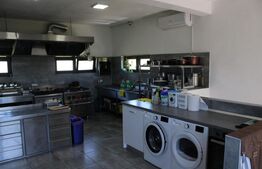 Afacere la cheie, pensiune 16 camere 650mp+Duplex 600mp,teren 50 ari,Viisoara