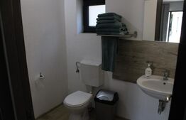 Afacere la cheie, pensiune 16 camere 650mp+Duplex 600mp,teren 50 ari,Viisoara