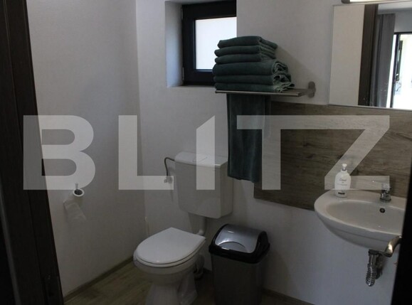 Spațiu comercial de vânzare Viișoara - 154886SVC | BLITZ Bistriţa | Poza21