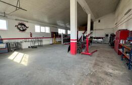 Afacere la cheie, casa de locuit si 28 ari de teren in Arcalia