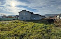 Afacere la cheie, casa de locuit si 28 ari de teren in Arcalia