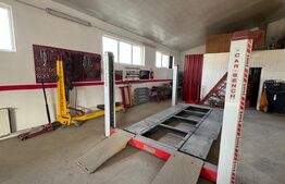 Afacere la cheie, casa de locuit si 28 ari de teren in Arcalia