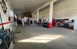 Afacere la cheie, casa de locuit si 28 ari de teren in Arcalia