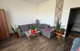 Afacere la cheie, casa de locuit si 28 ari de teren in Arcalia