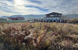 Afacere la cheie, casa de locuit si 28 ari de teren in Arcalia
