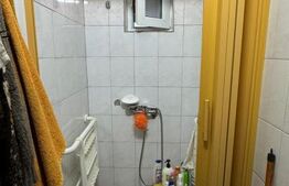 Afacere la cheie, casa de locuit si 28 ari de teren in Arcalia