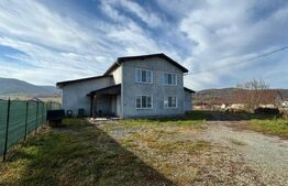 Afacere la cheie, casa de locuit si 28 ari de teren in Arcalia