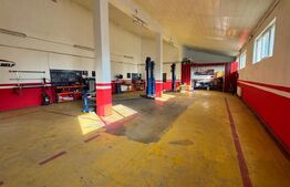 Afacere la cheie, casa de locuit si 28 ari de teren in Arcalia