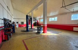 Afacere la cheie, casa de locuit si 28 ari de teren in Arcalia