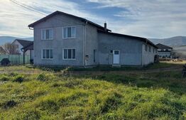 Afacere la cheie, casa de locuit si 28 ari de teren in Arcalia