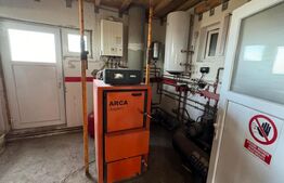 Afacere la cheie, casa de locuit si 28 ari de teren in Arcalia