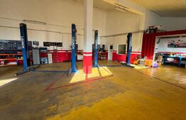 Afacere la cheie, casa de locuit si 28 ari de teren in Arcalia