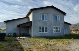 Afacere la cheie, casa de locuit si 28 ari de teren in Arcalia