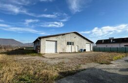 Afacere la cheie, casa de locuit si 28 ari de teren in Arcalia