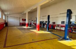 Afacere la cheie, casa de locuit si 28 ari de teren in Arcalia