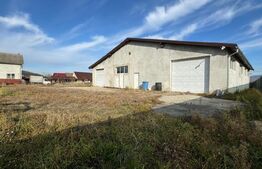 Afacere la cheie, casa de locuit si 28 ari de teren in Arcalia