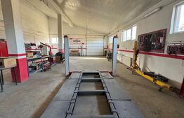 Afacere la cheie, casa de locuit si 28 ari de teren in Arcalia