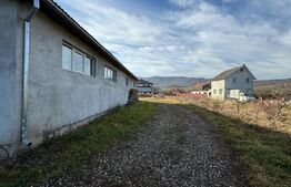 Afacere la cheie, casa de locuit si 28 ari de teren in Arcalia