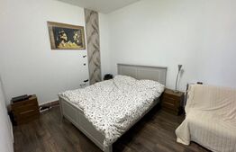 Afacere la cheie, casa de locuit si 28 ari de teren in Arcalia