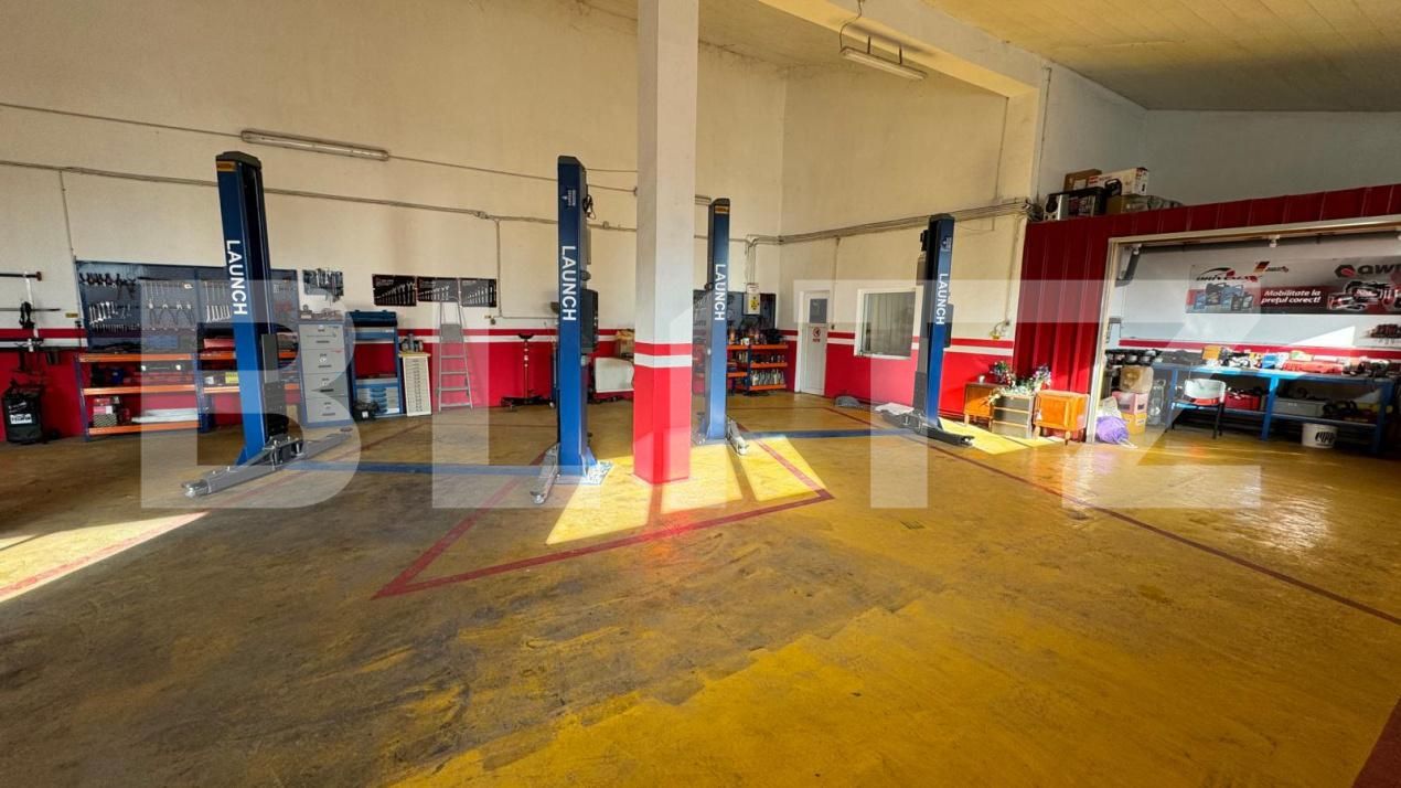 Spațiu industrial de vânzare Sud - 154904SVI | BLITZ Bistriţa | Poza13