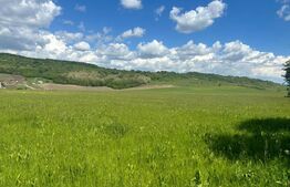 Teren Intravilan 850mp 