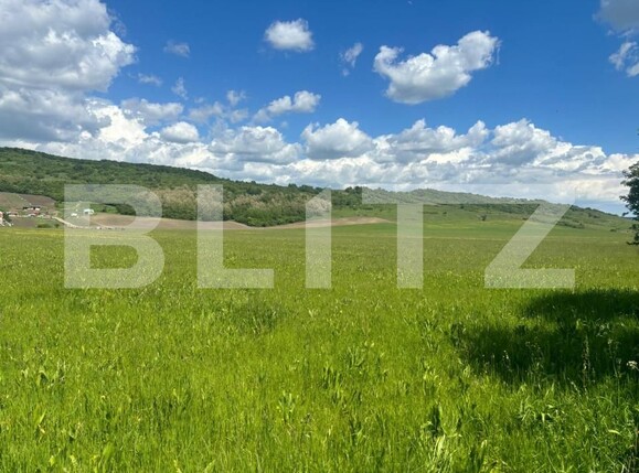 Teren de vânzare Sud - 154907TV | BLITZ Bistriţa | Poza1