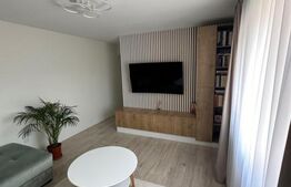 Apartament 2 camere, zona Independentei