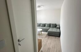 Apartament 2 camere, zona Independentei