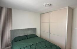 Apartament 2 camere, zona Independentei